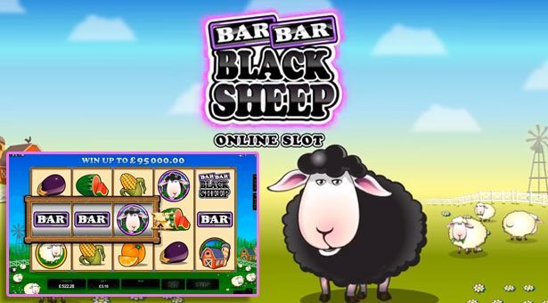 barbar-black-sheep