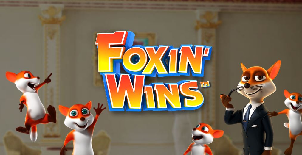 foxin wins
